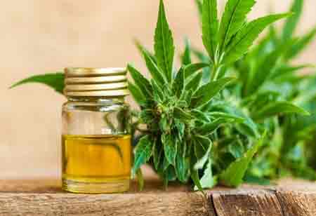 Unlocking the Health Benefits of CBD